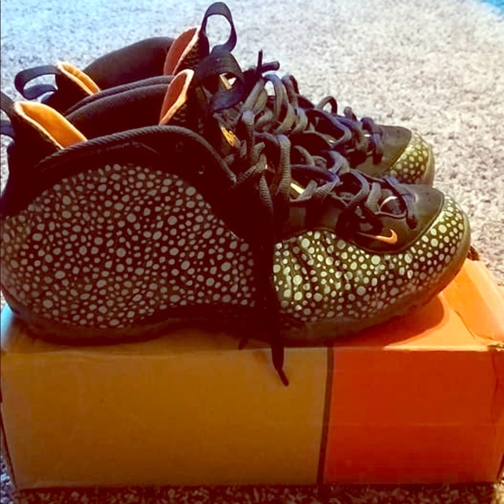 Safari foams